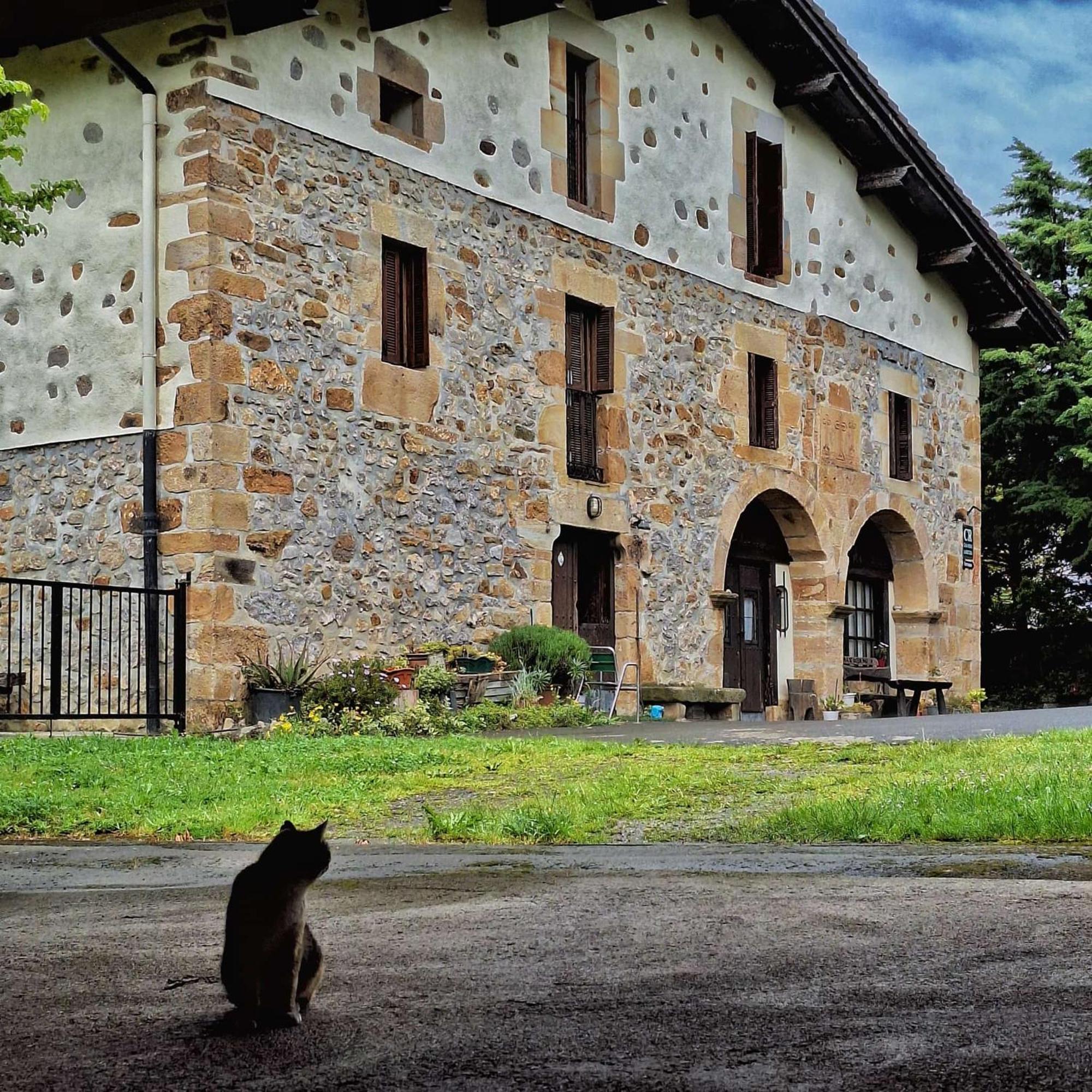 Casa Rural Areano Escoriaza ภายนอก รูปภาพ